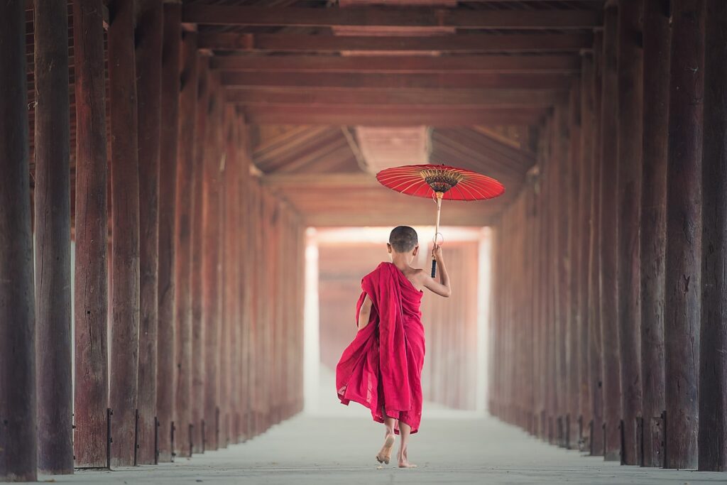 umbrella, buddhism, monk