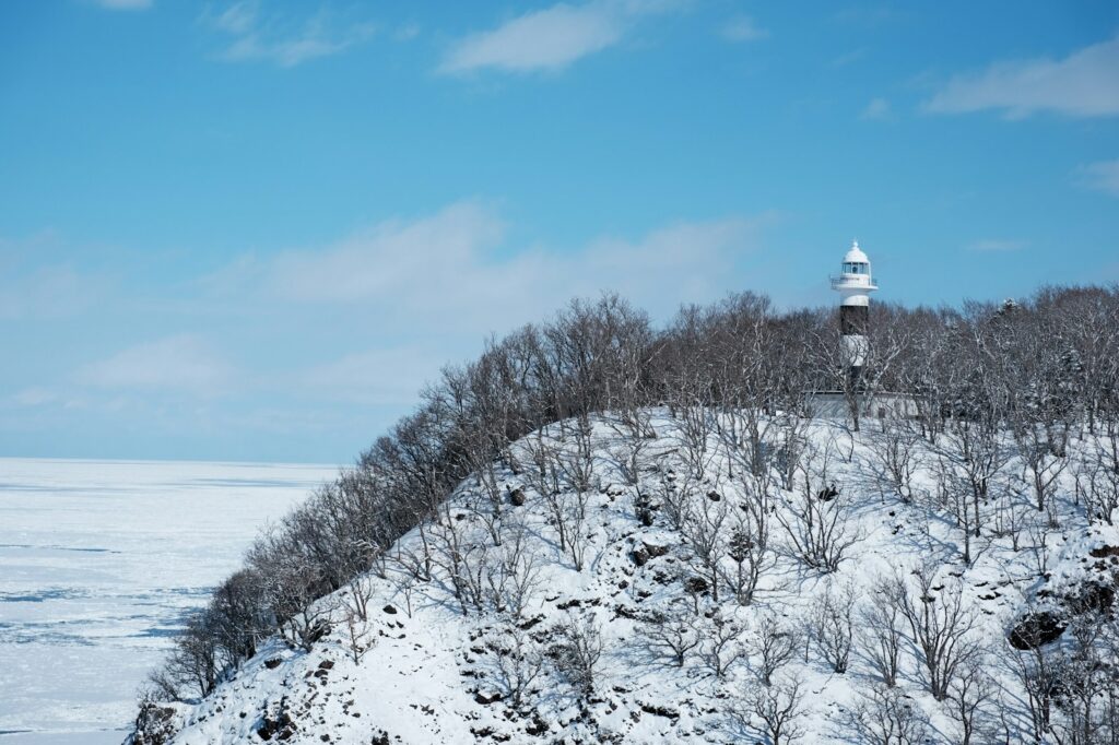 白雪、雪地、高山、凍土