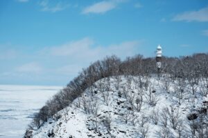 白雪、雪地、高山、凍土